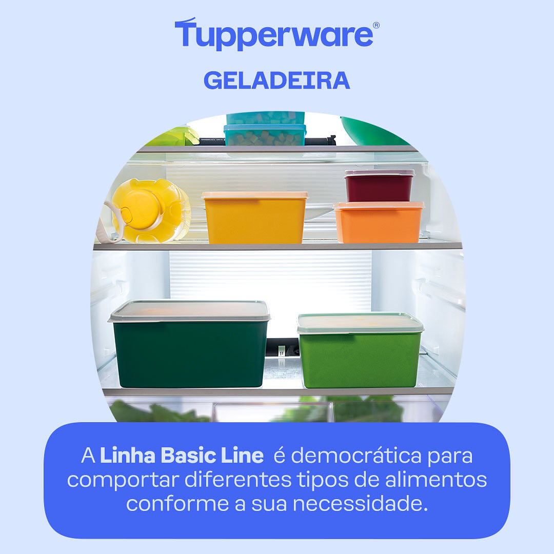 Pote Hermético Basic Line Tupperware 500ml Laranja
