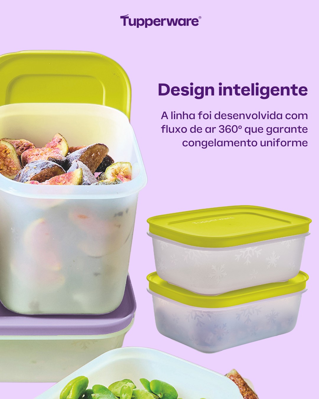 Pote Hermético para Congelamento Tupperware Freezer Line Roxo Ametista 2,5L