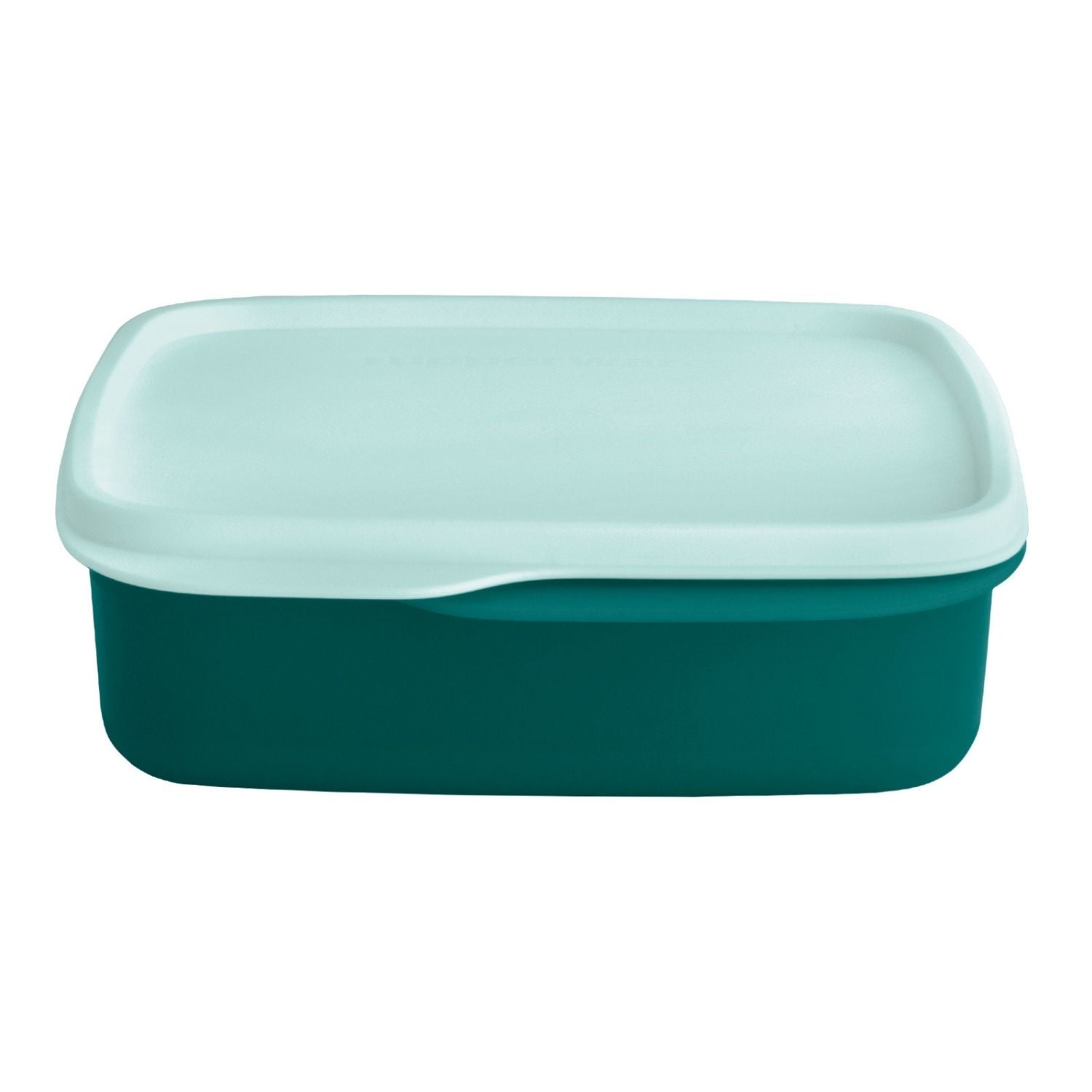 Pote Hermético Basic Line C/ Divisória Tupperware 550ml Mistério